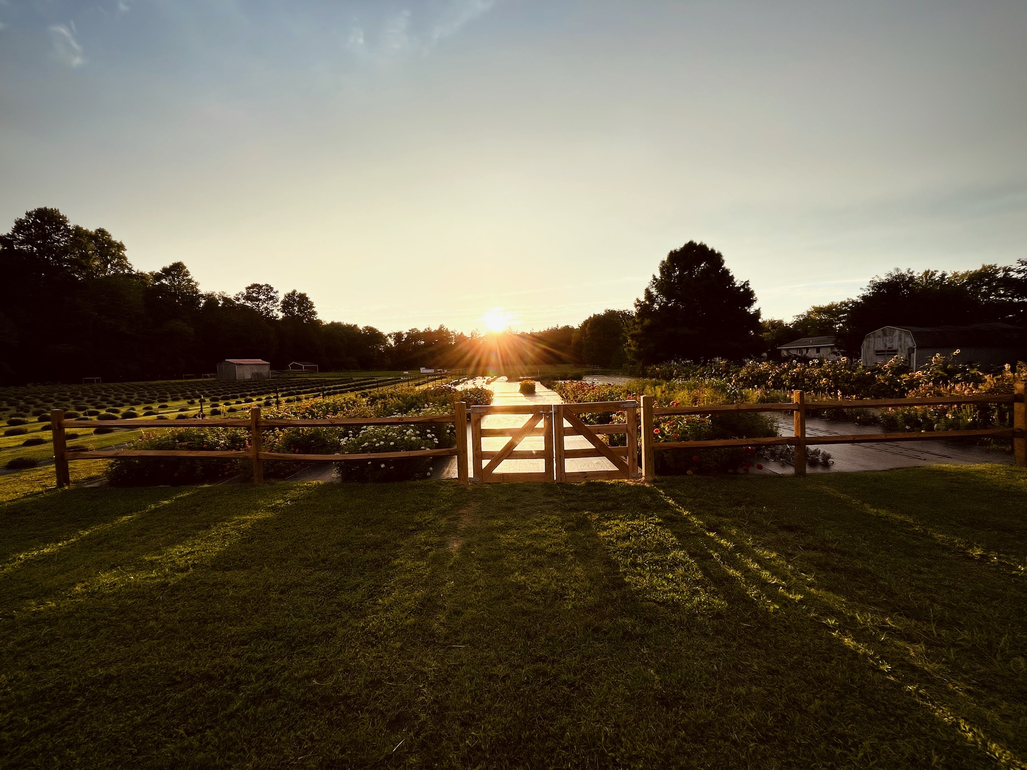 Abbott's & Oak Farms